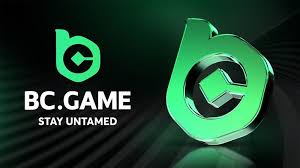 Ultimate Registration Guide for BC.Game Players