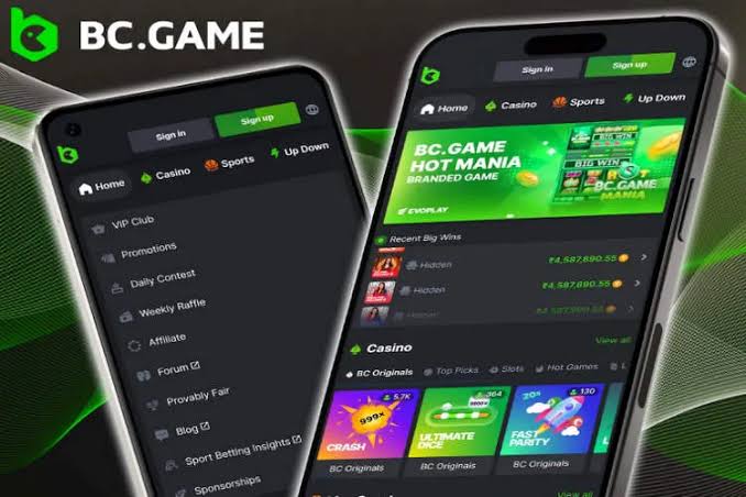 Explore the Thrills of BC.Game Online Platform Explore the Thrills of BC.Game Online Platform
